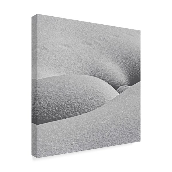 Lyubov Furs 'Winter Erotica' Canvas Art,18x18